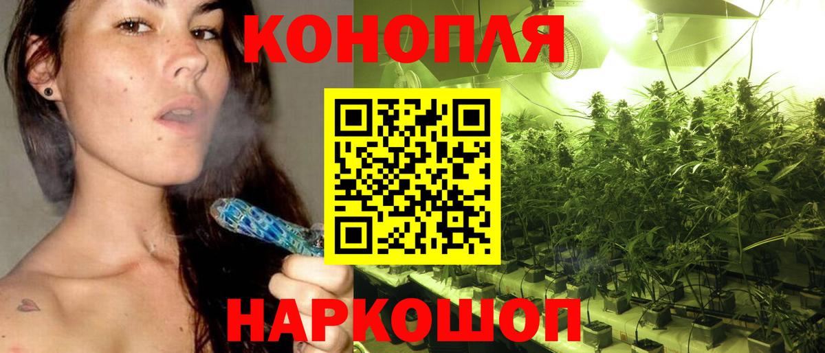 Бошки Шишки MAZAR Киров